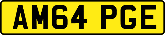 AM64PGE
