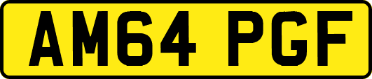 AM64PGF