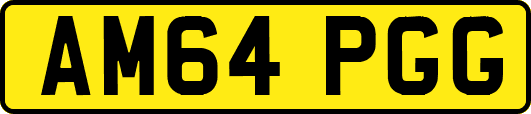 AM64PGG