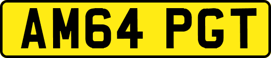 AM64PGT
