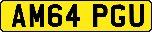 AM64PGU