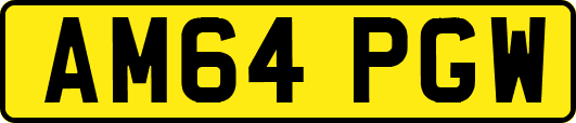 AM64PGW
