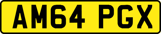 AM64PGX