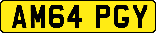 AM64PGY