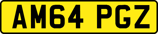 AM64PGZ