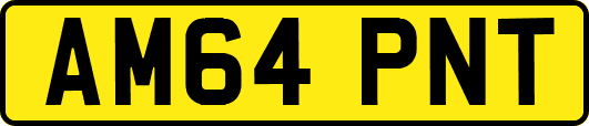AM64PNT
