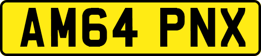 AM64PNX