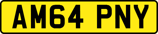 AM64PNY