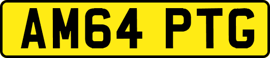 AM64PTG