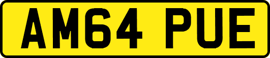 AM64PUE