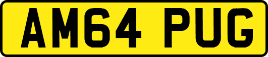 AM64PUG
