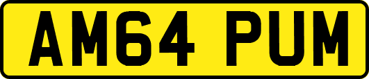 AM64PUM