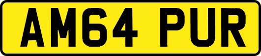 AM64PUR