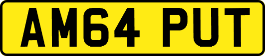 AM64PUT