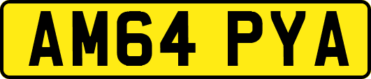 AM64PYA
