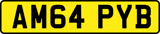 AM64PYB