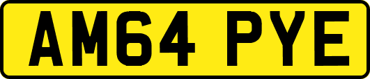 AM64PYE