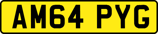 AM64PYG
