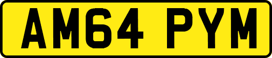 AM64PYM