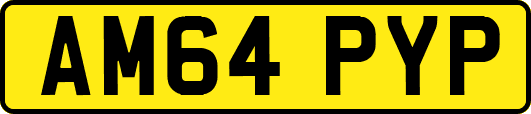 AM64PYP