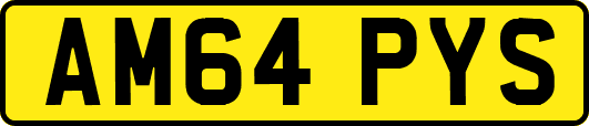 AM64PYS