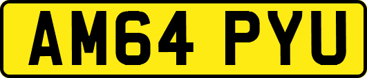 AM64PYU