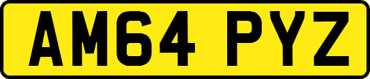 AM64PYZ