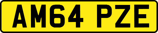 AM64PZE