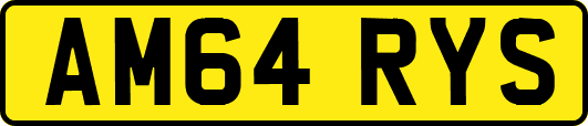 AM64RYS
