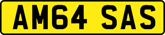 AM64SAS