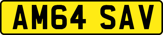 AM64SAV