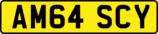AM64SCY
