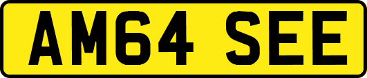 AM64SEE