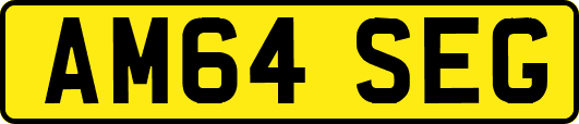AM64SEG