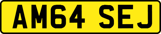 AM64SEJ