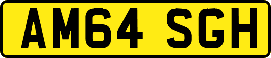 AM64SGH