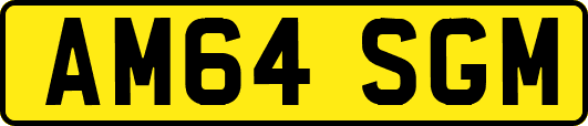 AM64SGM
