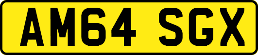 AM64SGX