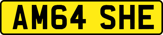 AM64SHE