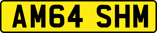 AM64SHM