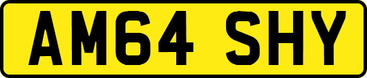 AM64SHY