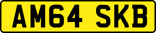 AM64SKB