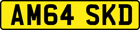 AM64SKD