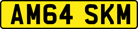 AM64SKM