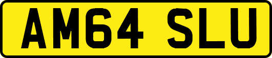 AM64SLU