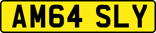 AM64SLY