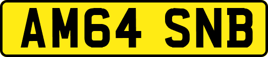 AM64SNB