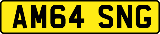 AM64SNG
