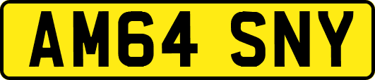 AM64SNY