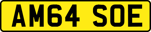 AM64SOE